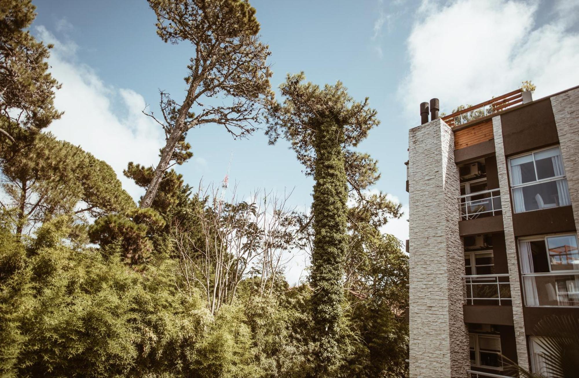 Suite House Carilo Ngoại thất bức ảnh